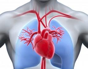 HEART CHECKUP