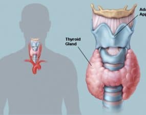 THYROID CHECKUP